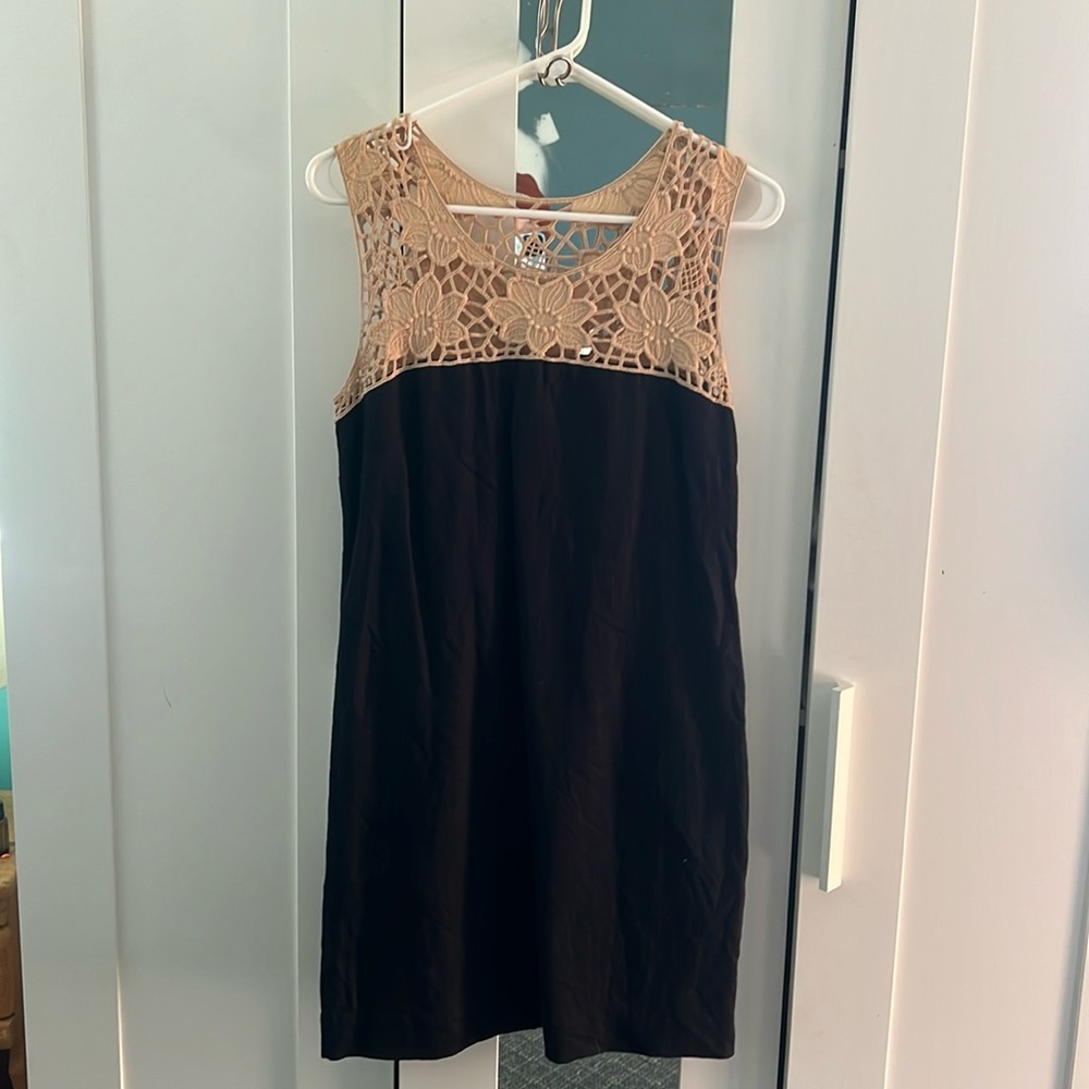 Ann Taylor LOFT Lace Shift Dress